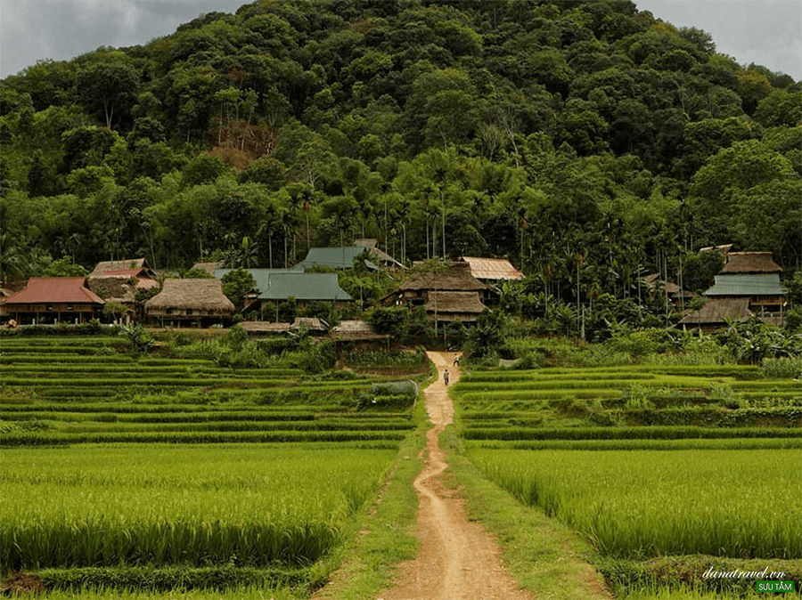 Khu bảo tồn thiên nhiên Pù Luông Thiên đường xanh giữa lòng xứ Thanh