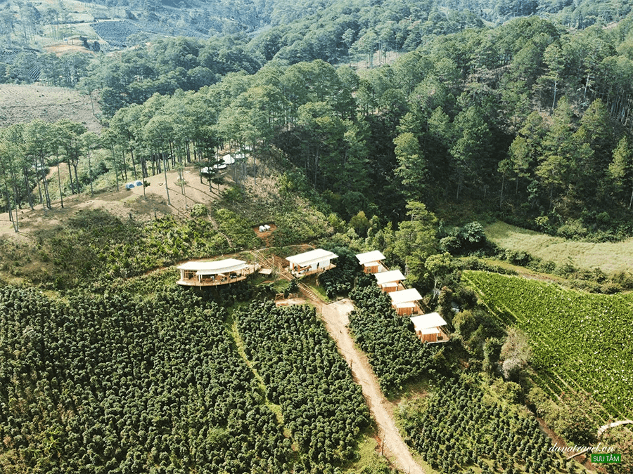 Twin Beans Farm, Lâm Đồng