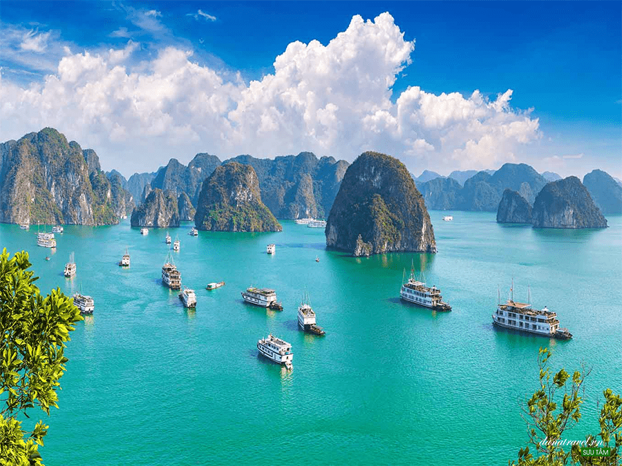 hạ long