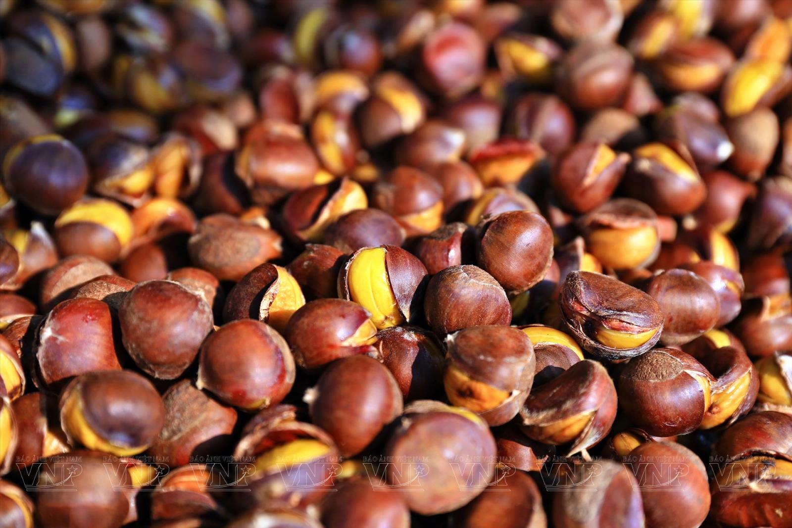 Hạt dẻ 