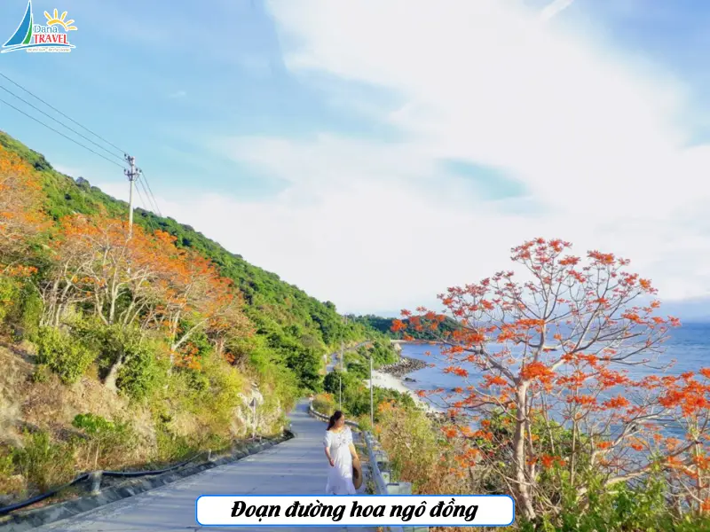 Đoạn đường hoa ngô đồng
