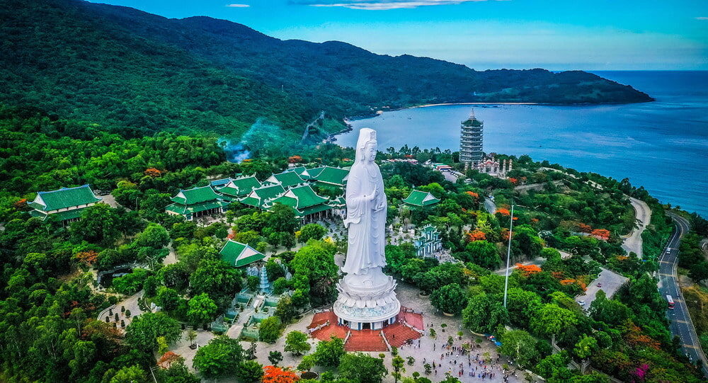 sơn trà