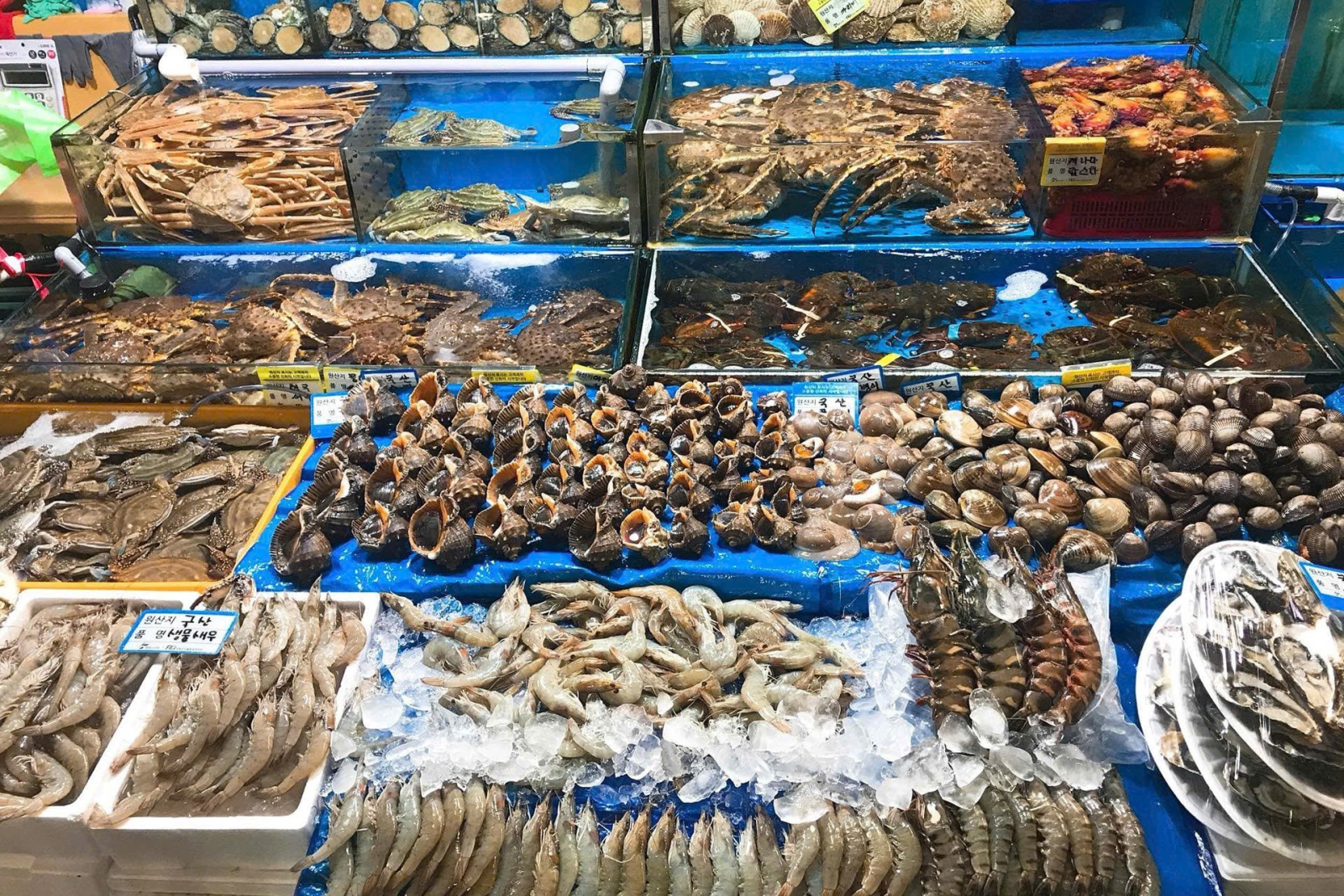 Hải sản tươi ngon