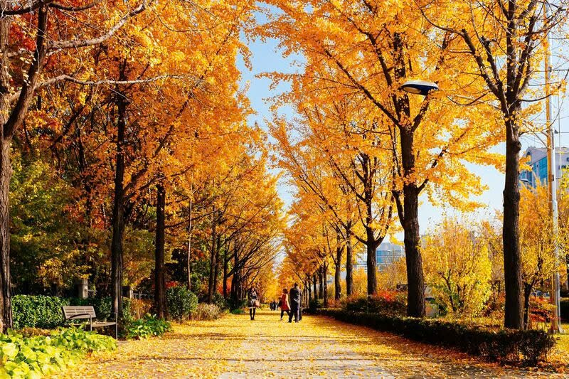 Công viên Seoul Forest