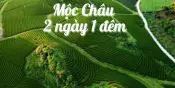 Tour Mộc Châu 2N1Đ