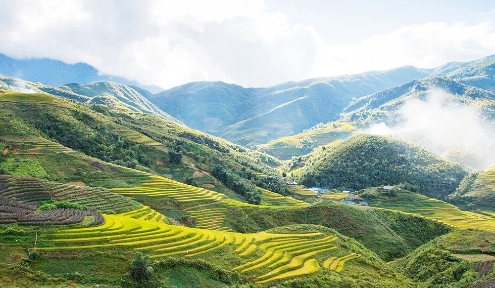 tour sapa cát cát hàm rồng