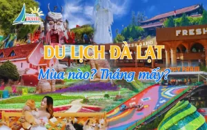 Kinh nghiệm du lịch Đà Lạt mới nhất 2024