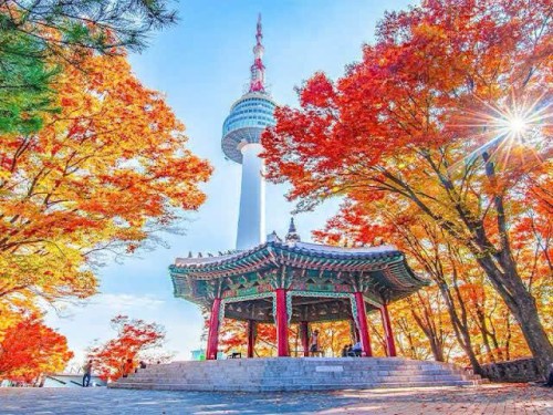 Du Lịch Hàn Quốc 2026: Khám Phá SEOUL – ĐẢO NAMI – EVERLAND – STARFIELD Cực Hot