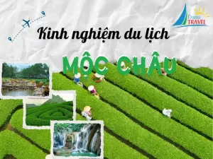 Kinh Nghiệm Du Lịch Mộc Châu Mới Nhất Mà Bạn Nên Biết