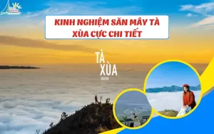 Kinh nghiệm săn mây Tà Xùa cực chi tiết