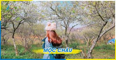 Tour Mộc Châu - Cầu Kính Bạch Long - Săn Mây Tà Xùa 2 ngày 1 đêm