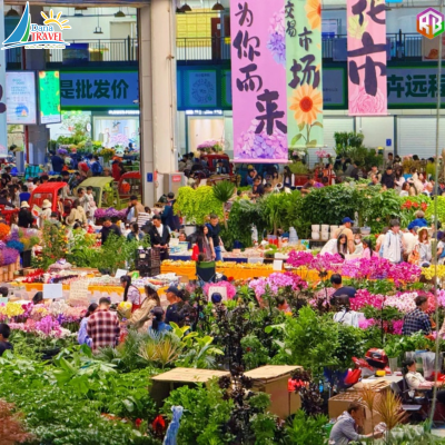 Tour Đà Nẵng Côn Minh Đại Lý Lệ Giang 7N6D - Khám Phá Vân Nam Trung Quốc