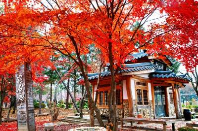 Tour Seoul - Nami - công viên Everland 