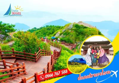 Khám phá Hàn Quốc 5 Ngày 4 Đêm Khởi hành từ Đà Nẵng mùa hoa anh đào