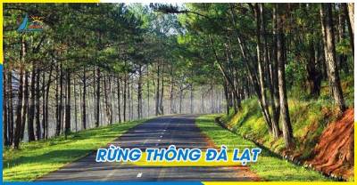 Tour du lịch Nha Trang Đà Lạt 5 ngày 5 đêm khởi hành tại Đà Nẵng