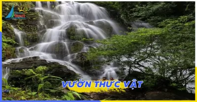 Tour Công viên Ozo Thác Gió Vườn thực vật