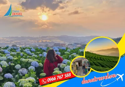 Tour Đà Nẵng Đà Lạt 3 Ngày 2 Đêm Bay Vietnam Airlines & KS 3*