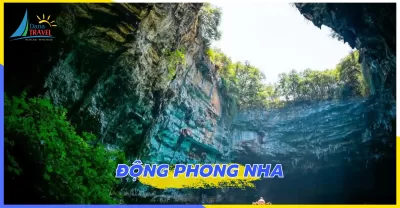 Tour Động Phong Nha hoặc Động Thiên Đường Suối Moọc khởi hành hàng ngày 