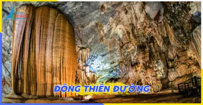 Tour Động Phong Nha hoặc Động Thiên Đường Suối Moọc khởi hành hàng ngày 