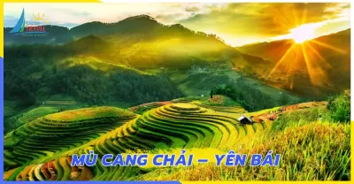 Tour Mù Cang Chải Sapa khởi hành từ Đà Nẵng