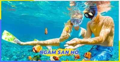 Tour Nha Trang Khám Phá Hòn Sỏi 1 Ngày Giá Rẻ - Danatravel