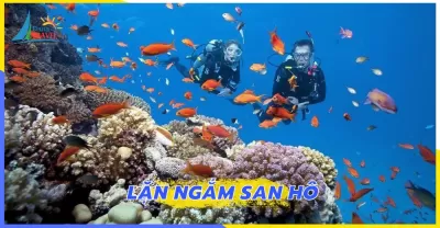 Tour Phú Quốc 3 Ngày 2 Đêm Giá Rẻ Khởi Hành Hằng Ngày
