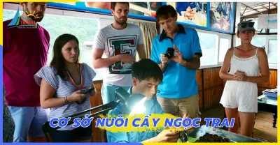 Tour Phú Quốc 3 Ngày 2 Đêm Khởi hành từ Đà Nẵng 