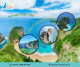 Thumn Tour Bali Từ Đà Nẵng - Khám phá thiên đường biển đảo 