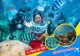 Thumn Tour đi bộ dưới biển Cù Lao Chàm khám phá đại dương