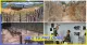 Thumn Tour Phú Quốc 3 Ngày 2 Đêm Giá Rẻ Khởi Hành Hằng Ngày