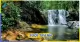 Thumn Tour Phú Quốc 3 Ngày 2 Đêm Giá Rẻ Khởi Hành Hằng Ngày