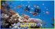 Thumn Tour Phú Quốc 3 Ngày 2 Đêm Giá Rẻ Khởi Hành Hằng Ngày