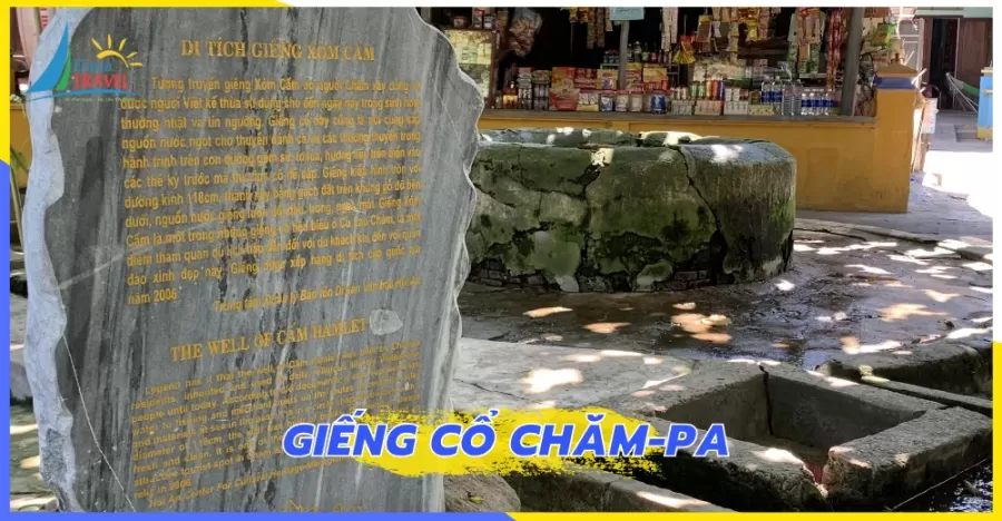 Tour Cù Lao Chàm 2 ngày 1 đêm giá rẻ
